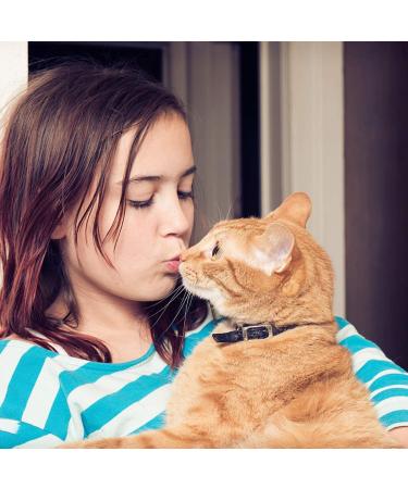 Handmade Leather Cat Neck Straps with Bells - Adjustable Durable 8-Piece Set for Small Pets | Perfect for Indoor & Outdoor Use - Buy Online on GoSupps.com