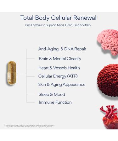 NutraHerbs - Advanced NAD+ Complex with 300mg NR + 200 mg Ubiquinol CoQ10 & 10 mg PQQ | Mitochondrial Support for Cellular Energy Mental Clarity & Focus | Enhanced Bioavailability | 60 Capsules - Buy Online on GoSupps.com