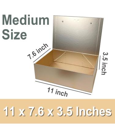 PALITIGO RoseGold 5 pack Rose Gold 11x7.6x3.5 Inches(5 Packs) - Buy Online on GoSupps.com