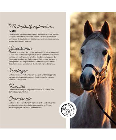 Annimally Joint Powder for Horses 850g - Collagen MSM Glucosamine & More | Strengthen Horse Joints - Alternative to Liquid - Buy Online on GoSupps.com
