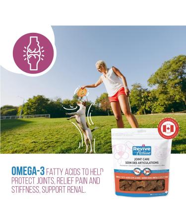 Revive Active Joint Care Soft Chews for Dogs and Cats 90Ct Relieves Inflammation Promotes Optimal Growth and Development Joint Mobility and Good Health. Chews 90ct - Buy Online on GoSupps.com