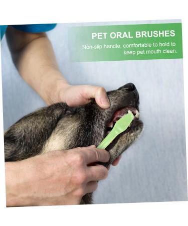 BESPORTBLE 1 Set Pet Toothbrush Dog Toothbrushes Dog Toothbrush and Toothpaste 360 Dog Toothbrush Tools Pp - Buy Online on GoSupps.com