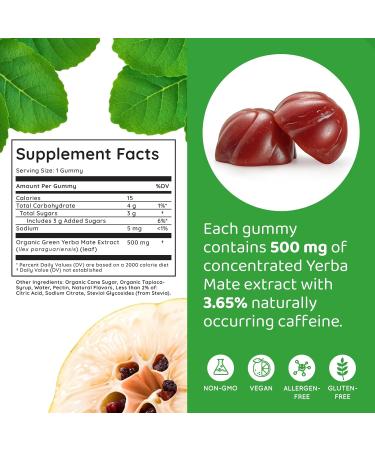 Yerba Mate Gummies - Quince Flavor | Vegan & Non-GMO | Boost Energy & Focus Naturally | Gluten-Free | 6 Count Pack - Buy Online on GoSupps.com