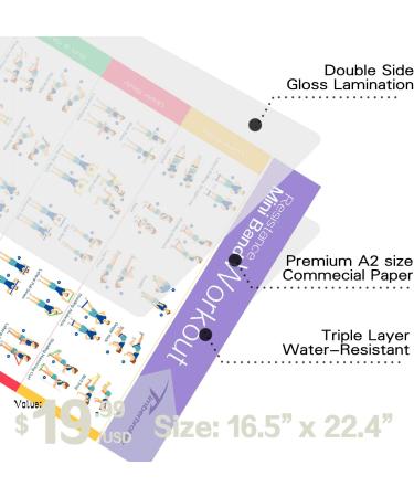 Timberbrother Resistance Loop Bands Set of 5 with Workout Poster - Ideal for Crossfit and Physical Training - Buy Online on GoSupps.com