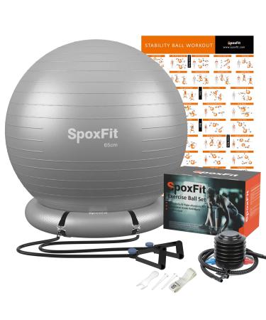 SpoxFit Exercise Ball, 65cm Anti-Burst Yoga Ball, Stability Fitness Ball for Birthing & Core Strength Training, Includes Quick Pump & Workout Poster Silver Ball With Base