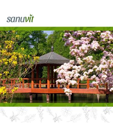 Sanuvit - Quercetin 500 mg capsules | High dose | High bioavailability and tolerability | Vegan | 120 capsules - Buy Online on GoSupps.com