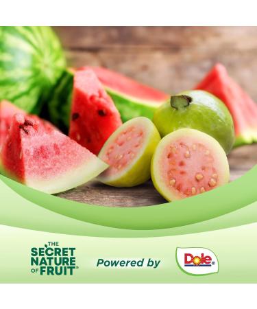 Buy Secret Nature Fruit Energy Chews - Real Fruit Vitamin B12 & Iron with Ashwagandha - Long Lasting Energy - 60 Count (Pink) - International Shipping Available - Buy Online on GoSupps.com