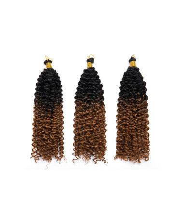 Buy 3 Bundle 35cm Water Corrugated Crochet Hair Extensions - Ombre Deep Curly Braids in Dark Black to Red-Brown - Buy Online on GoSupps.com