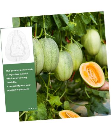SUPVOX 9 Pcs Vegetable Growing Mold Buddha Shaped Growth Forming Mold Fruit Vegetable Mold Watermelon Small Transparentx3pcs 9x8cmx3pcs - Buy Online on GoSupps.com
