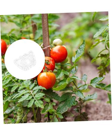 Kisangel 2pcs Ingot Shaped Mold Vegetables Cucumber Mold Fruit Growing Shaper Gardening Supplies Stereotypes - Buy Online on GoSupps.com