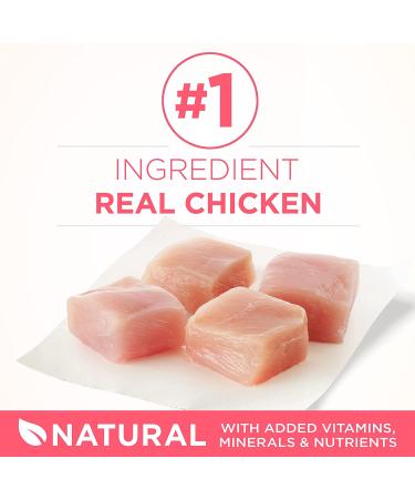 Purina ONE Healthy Kitten Dry & Wet Food - Chicken Flavor - 16 lbs - Buy Online on GoSupps.com
