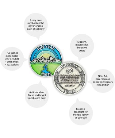 1 Year Sober Token | One Year Sober Chip | Non-AA Gift Non-Religious Medallions for Men and Women Celebrating Sobriety 14. One Year Sober - Buy Online on GoSupps.com