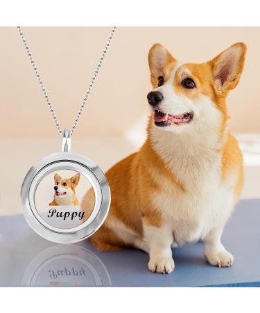 Personalised Pet Fur Locket Pendant Necklace Engraved Photo Name Stainless Steel Custom Pet Keepsake Necklace Portrait Urn Necklace Memorial Gift For Loss Love Pets silver - Buy Online on GoSupps.com