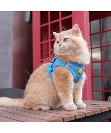 Femax Adjustable Soft Mesh Dog Harness with Leash for Small/Medium Dogs & Cats - No Pull Reflective Breathable Vest for Chihuahua & Puppies (XS: 26-29cm) - Blue - Buy Online on GoSupps.com