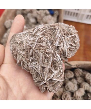 Crystal 1pcs Natural Desert Rose Selenite raw Crystal Stone Specimen Rough Sample Cluster fengshui Decor Can be Used for JIZTGEDM (Size : 70-100g) - Buy Online on GoSupps.com
