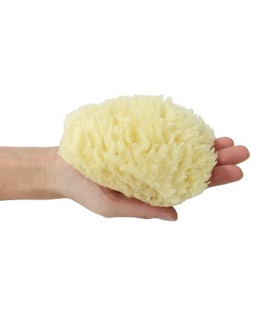 Natural Sea Sponge for Gentle Baby Bath | Hypoallergenic & Eco-Friendly - Buy Online on GoSupps.com