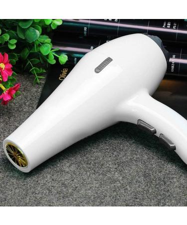 ADITAM 2000W Hair Dryer Nano Ionic Blow Dryer Professional Salon Hair Blow Dryer Lightweight Fast Dry Low Noise with Concentrator Diffuser 2 Speed and 3 Heat Settings Double The Comfort - Buy Online on GoSupps.com