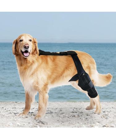 Dog Knee Brace Rear Leg Brace - Support Dog Knee Brace Neoprene Hip Brace Adjustable Traction Belt for Knee for Cruciate Ligament Injury for Torn ACL Leg M left - Buy Online on GoSupps.com
