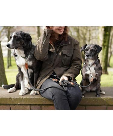 Leitengr n Adjustable Dog Leash for Small Dogs - 3M x 0.8CM Lightweight 2 Carabiners Devon Model Gray Pidgeon Gray - Buy Online on GoSupps.com