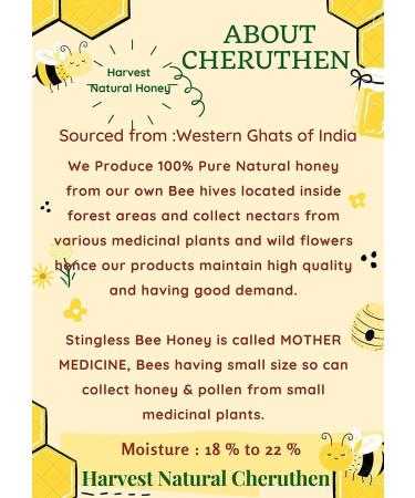 JARA Natural Stingless Bee Honey 100 natural organic product from Western Ghats of Kerala 100 G - Buy Online on GoSupps.com