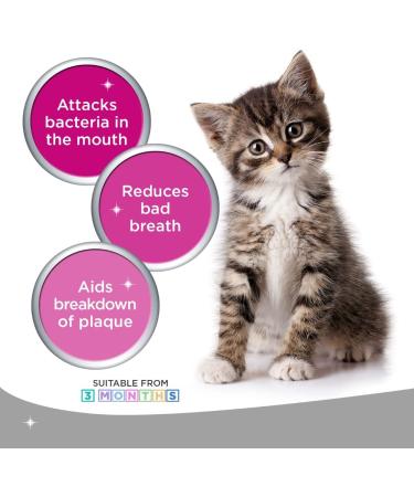 Logic Oral Hygiene Gel for Cats and Dogs 70 g with Finger Toothbrush 1 Count ( Pack of 1) 70 g (Pack of 1) - Buy Online on GoSupps.com