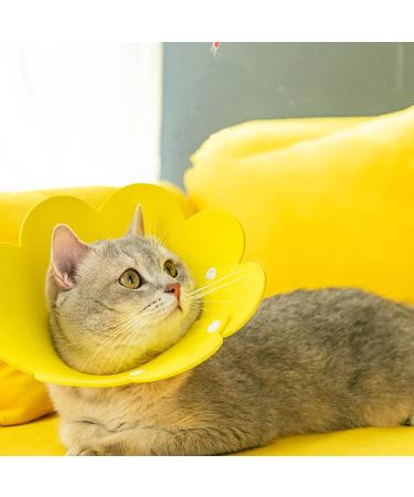 Adjustable Soft Protective Collar for Cats - 2 Pack | Pet Sponge Protection Collar - Ideal for Recovery & Comfort - Buy Online on GoSupps.com