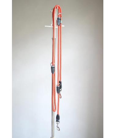 Buy Leite Green Adjustable Dog Leash 3m - Durable Nylon for Medium to Large Dogs 200kg Capacity 2 Carabiners - Red Tango | International Shipping Available - Buy Online on GoSupps.com
