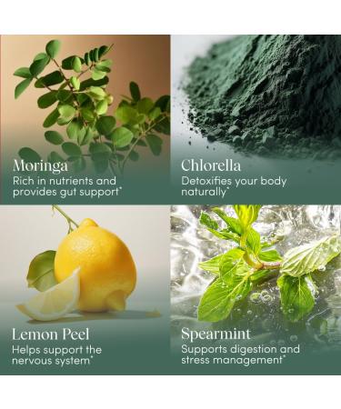 Apoth kary Your Wildest Greens Herbal Liquid Drops All-in-One Daily Superfood Supplement Vitamin & Mineral Support 5X Potency of Greens Powders Sugar Free Calorie Free (15 Servings) 1.22oz - Buy Online on GoSupps.com