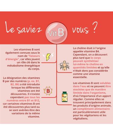 Vitamine B Complex | Dosage Elev | Avec 8 Vitamines B (dont B12 Biotine Niacine Acide Folique) + Choline | nergie + Anti-Fatigue* | VEGAN | Vegavero  - Buy Online on GoSupps.com