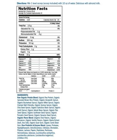 Garden of Life RAW Organic Protein Organic Plant Formula Vanilla Chai 20.45 oz (580 g) - Buy Online on GoSupps.com