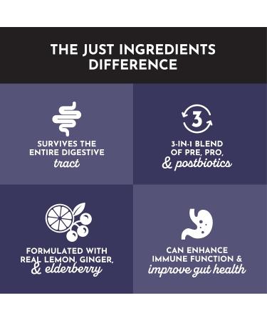 Elderberry Lemonade 3 In 1 Probiotic Complex 30 Stick Drink Mix with Prebiotics Probiotics & Postbiotics 5 Billion CFU Spore Strains + Lemon Extract Immune Gut & Digestive Support - Buy Online on GoSupps.com