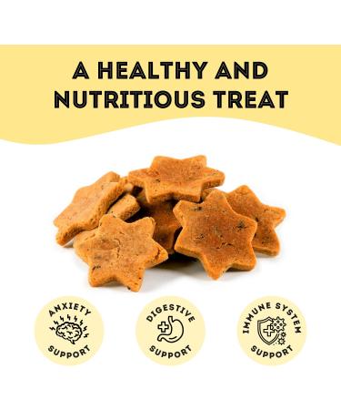 The Granville Island Pet Treatery|Gift Box Chamomile Ginger & Turkey Biscuits for Dogs All Natural & Chemical- Free Great As A Hostess Gift Or Thank You Made in Canada|88865 Ginger & Turkey 135 g (Pack of 1) - Buy Online on GoSupps.com