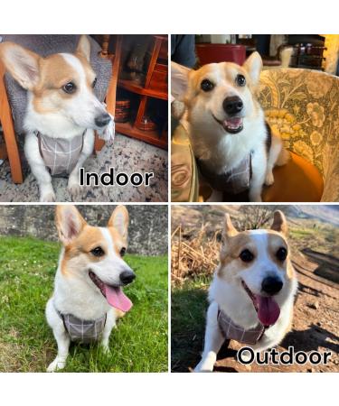 Waterproof Pet Dog Belly Vest Jacket - Grey Grid Medium | Lightweight & Breathable Cover for Rain, Snow, and Mud - Buy Online on GoSupps.com