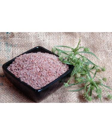 Naturix24 Plantago Ovata Seeds 1kg