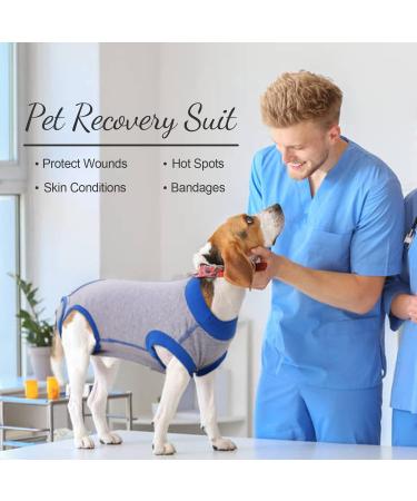 Recovery Suit for Dogs - Postoperative Wound Protection Clothing | Anti-Licking E-Collar Alternative | XS A-Gray - Buy Online on GoSupps.com