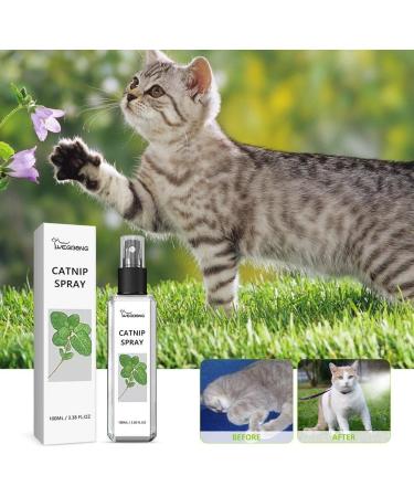 BOWTONG Herbal Joy Spray 100ml Catnip Spray For Indoor Cats Scratching Spray Herbal Pets Mist Celery Joy Spra Joy  - Buy Online on GoSupps.com