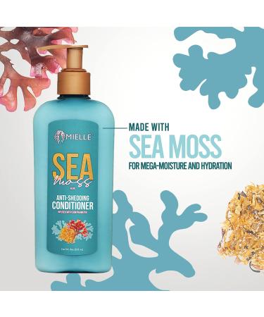 Mielle Organics Sea Moss Anti-Shedding Conditioner 8 Fl Oz - Stop Hair Shedding with Natural Ingredients - Buy Online on GoSupps.com