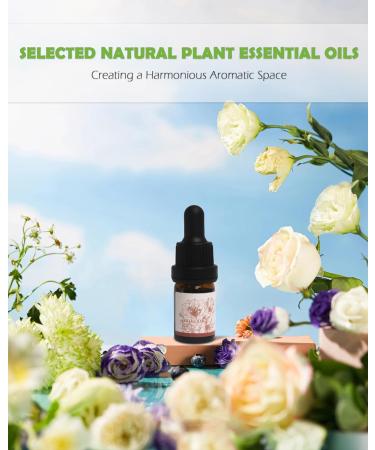 Weljoy Zen Essential Oil Set - 3 x 10ml Zen Garden Oils for Relaxation & Aromatherapy | International Shipping - Buy Online on GoSupps.com