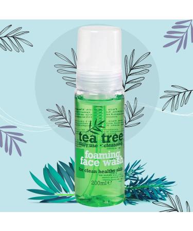 Tea Tree Face Wash Set Contains Foaming Face Wash Skin Cleanser Facial Scrub and Toner for a Soothing and Hydrating Skin Care - Buy Online on GoSupps.com