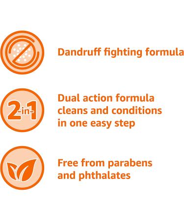 Amazon Basics 2-in-1 Dandruff Shampoo & Conditioner, Green Apple Scent - 14.2 Fl Oz (Pack of 1) - Buy Online on GoSupps.com