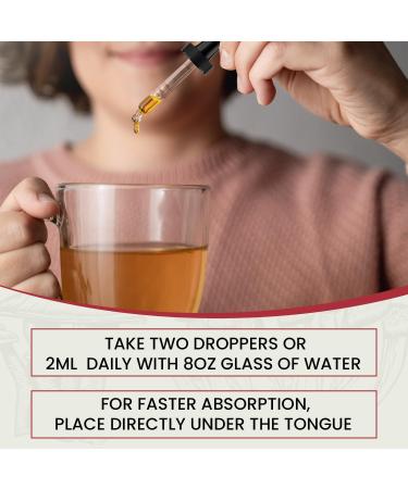 Auri Nutrition Lion s Mane Liquid Elixir - Brain Supplements for Memory and Focus with Functional Mushrooms - Lions Mane Supplement, Full Spectrum Lion's Mane Extract - No GMO, Vegan Mushroom Tincture - Buy Online on GoSupps.com