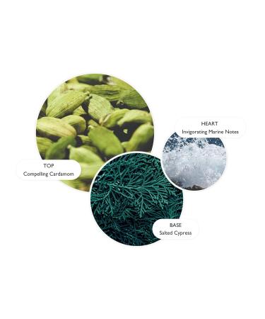 Buy Molton Brown Coastal Cypress & Sea Fennel Hand Lotion 300ml | Luxury Moisturizer for Soft Skin | International Shipping Available - Buy Online on GoSupps.com
