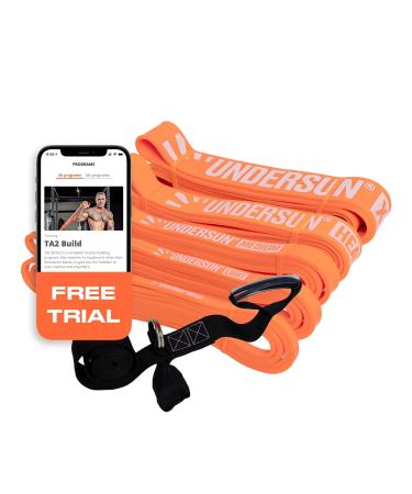 Undersun Resistance Bands for Working Out | Heavy Resistance Bands for Strength Training & Pull Up Assistance | Indoor/Outdoor Gym Home Exercise Bands Resistance Undersun Orange (Set of 5)