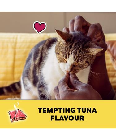 TEMPTATIONS Adult Cat Treats Tempting Tuna Flavour 454g Tub Cat Treats Tuna 454 g (Pack of 1) - Buy Online on GoSupps.com
