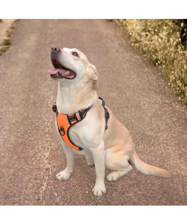 Buy Heele No-Pull Dog Harness & Large Dog Crockery - Softly Breathable Adjustable Reflective Dishes in XL University Orange - Buy Online on GoSupps.com