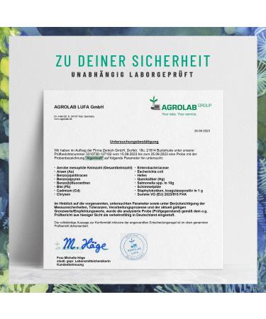NaturTreu Algaekraft - High-Dose Vegan Omega 3 from Algae Oil | 1000mg DHA & EPA | Sustainable Microalgae | Laboratory Tested - Buy Online on GoSupps.com