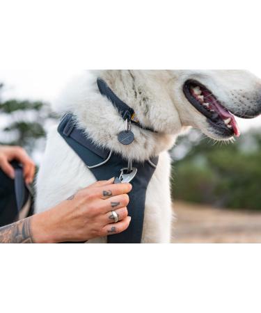 RUFFWEAR Front Range Medium Dog Collar - Adjustable Length, Comfortable Fabric, Aluminium V-Ring - 36-51cm - Spring Fade - Buy Online on GoSupps.com