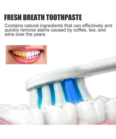 Koahde SP4 Probiotic Toothpaste - Fresh Breath Teeth Whitening & Brightening - 2PC - Buy Online on GoSupps.com