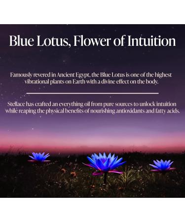 Premium Blue Lotus Moringa Oil - 100% Pure & Natural | Therapeutic Grade for Face Body & Hair - 60ml - Advance Skin Care & Relaxation - Buy Online on GoSupps.com