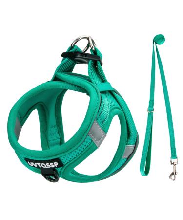 Dog Harness Medium Dogs Green Padded Puppy Harness Dog Harness Harness Dogs Small MM Green